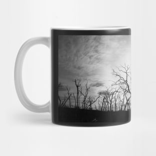 Black and white tree skeletons. Mug